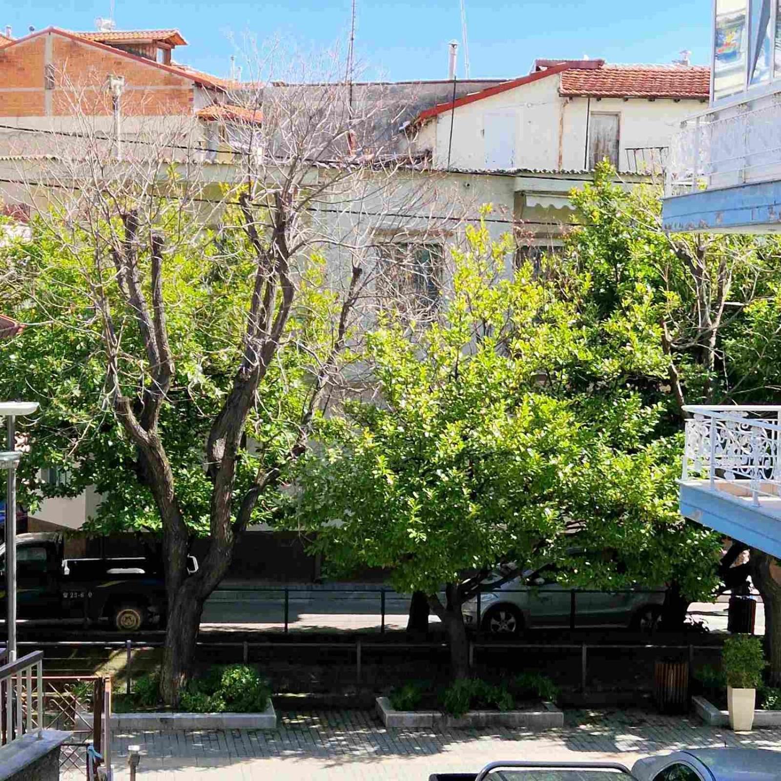 N&S Apartment B 埃泽萨 外观 照片